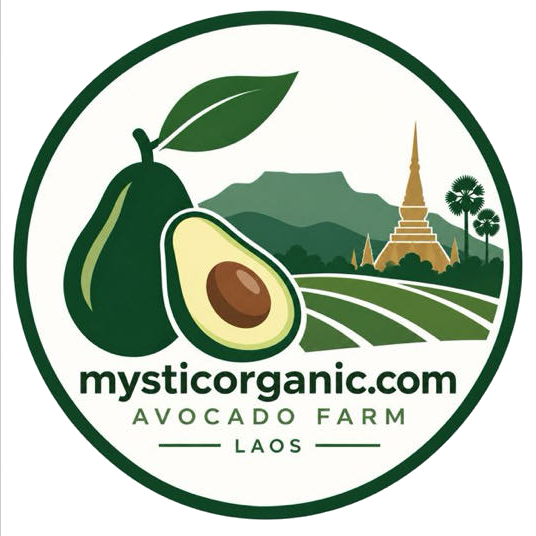 Mystic Organic - Avocado Farm, Pakse Laos